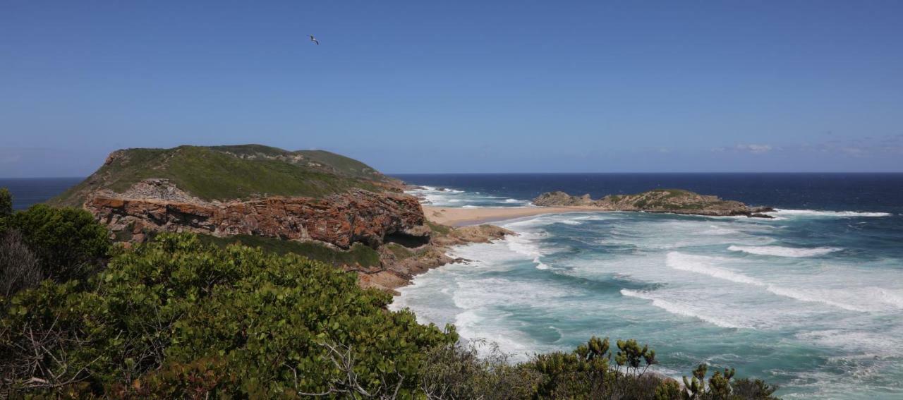 Menlo At C Lägenhet Plettenberg Bay Exteriör bild